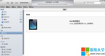 ipad忘记密码怎么办
