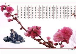 桃花坞里桃花庵桃花庵下桃花仙
