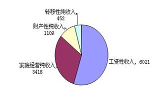 纯收入是什么意思
