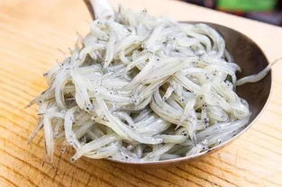 面条鱼和银鱼的区别
