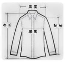 肩宽怎么测量