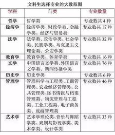 文科生学什么好就业
