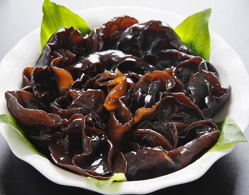 木耳是什么意思
