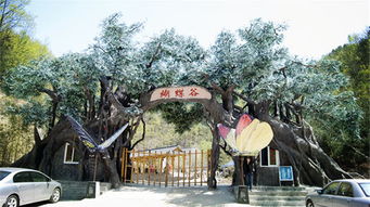 蝴蝶谷在哪
