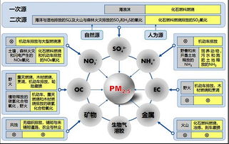 雾是怎样形成的