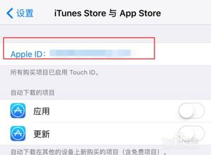 苹果手机怎么更改id账号 苹果手机如何更改id账号