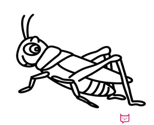 蝗虫简笔画
