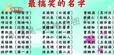 不常见的字有哪些?