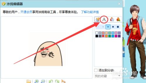 怎么在图片上加文字 如何给图片编辑添加文字