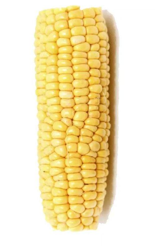 corn什么意思