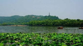 人气最多的、覆盖人群最广的,是什么网站?【社交、论坛、博客等