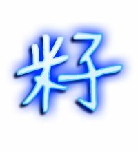 籽笔顺
