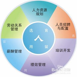人力资源六大板块是什么
