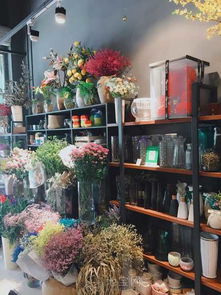 广州市花店
