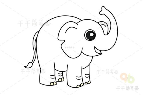 简笔画大象
