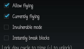 flying是什么意思

