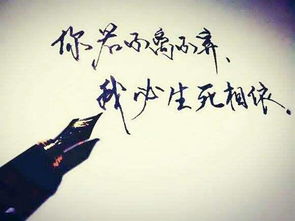 不离不弃是什么意思 不离不弃的含义