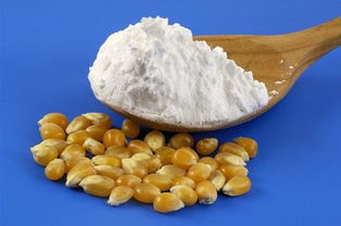玉米淀粉可以用什么代替
