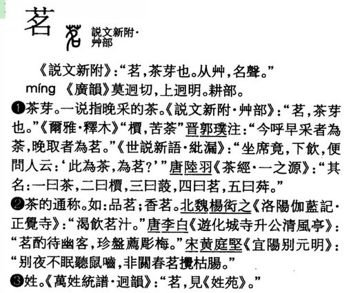 茗字用于人名的寓意
