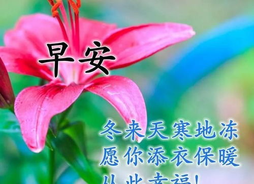 一般第二天早上会比前一天晚上体重会轻多少?