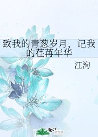 荏苒年华
