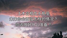 主见是什么意思
