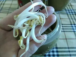 得了虫牙后,牙齿里的虫子到底什么样啊?