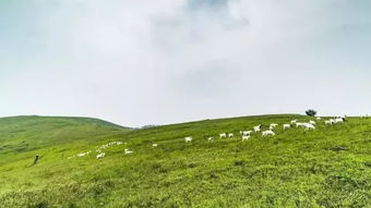 天高地阔地吃起来是什么意思
