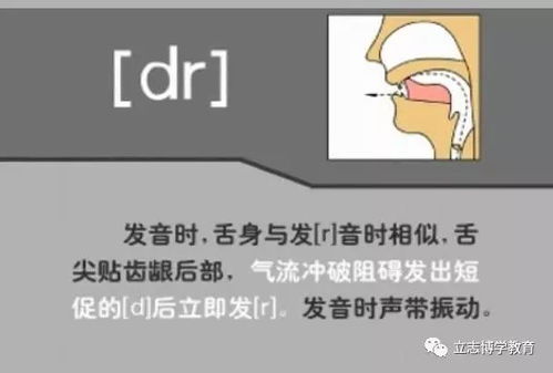 dr怎么读
