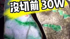 望子成龙的意思

