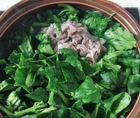 菠菜和羊肉可以一起吃吗
