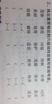 支援的近义词
