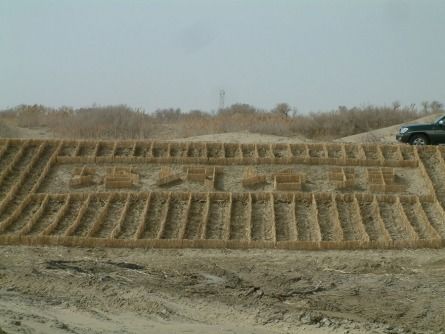 草方格沙障
