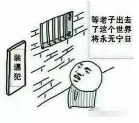 主见是什么意思?
