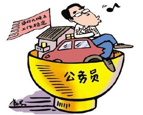 中政公务员
