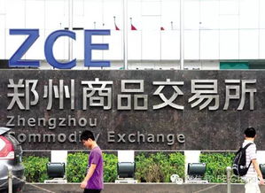 郑州商品交易所,主要是做什么的?