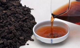 普洱属于黑茶还是红茶
