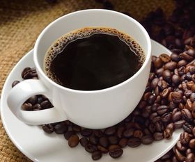 猫屎咖啡多少钱一杯

