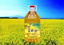 长期吃菜籽油好不好