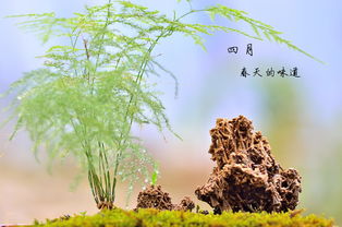 春天是哪几个月份