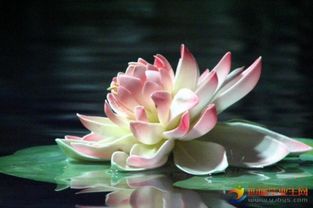 含蓄的表达思念的诗句
