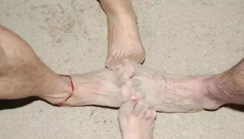 腿毛长的人有福气?