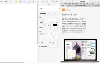 苹果电脑怎么分屏显示