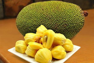 菠萝蜜的种子可以吃吗?