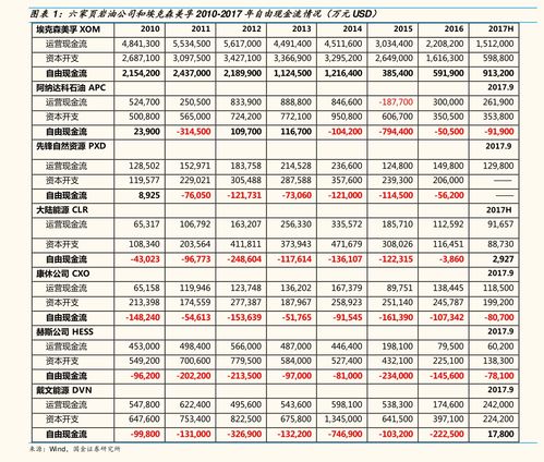 神州专车日租价格,半日租价格