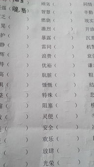 宏伟的反义词是什