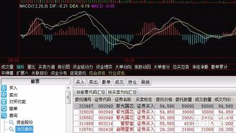 怎么查股票交易
