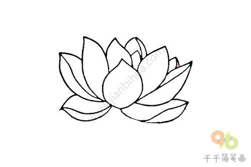 莲花简笔画
