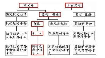 旁系四代结婚后果严重
