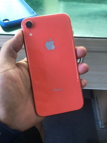 iphonexr尺寸多大